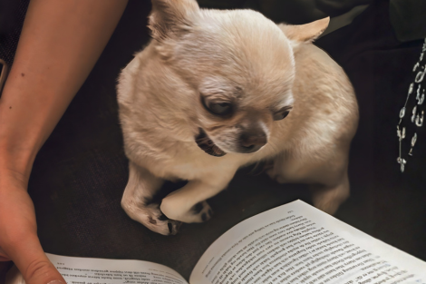 Code editor with highlighted syntax