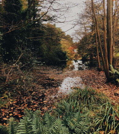 Länk till min profil på Open University